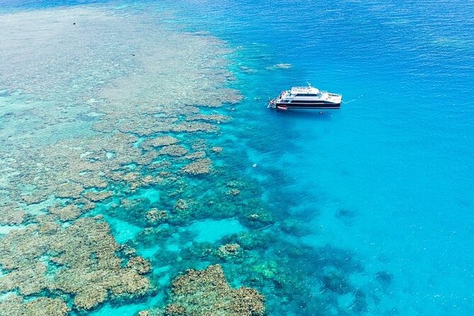 Great Barrier Reef Tour With Indigenous Sea Rangers (Cairns) (Mar ) - Traveler Experiences and Reviews
