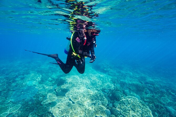 Great Keppel Island Day Trip Bundle From Yeppoon - Booking Information