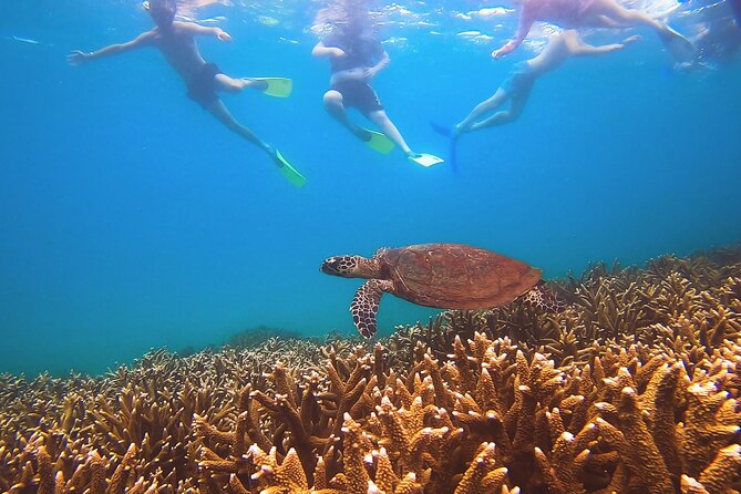 Great Keppel Island Day Trip With Lunch - Additional Resources