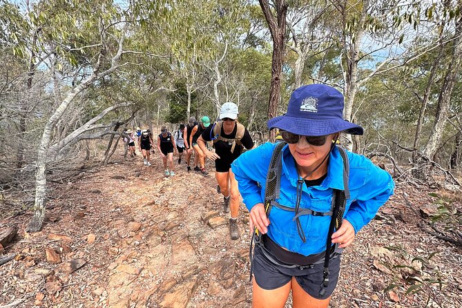 Great Keppel Island Glass Bottom Boat Tour & Ferry Transfer - Assistance and Support for Travelers