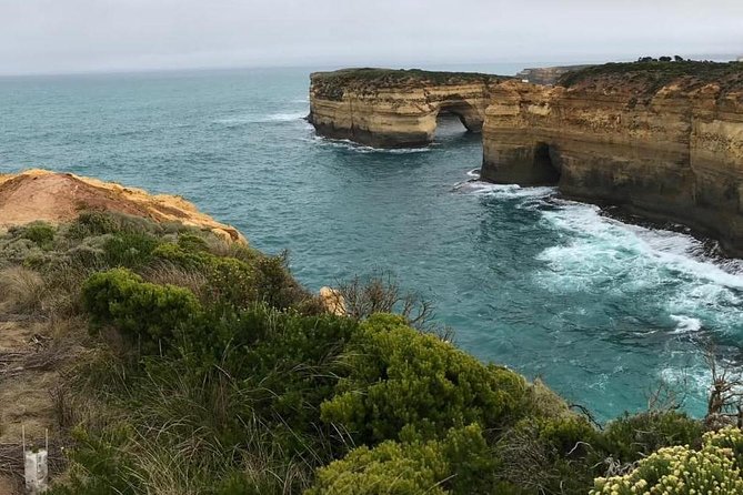 Great Ocean Road 12 Apostles Tour - Tour Organization and Itinerary