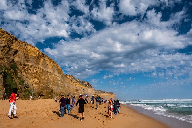 Great Ocean Road Small-Group Ecotour From Melbourne - Cancellation Policy Information