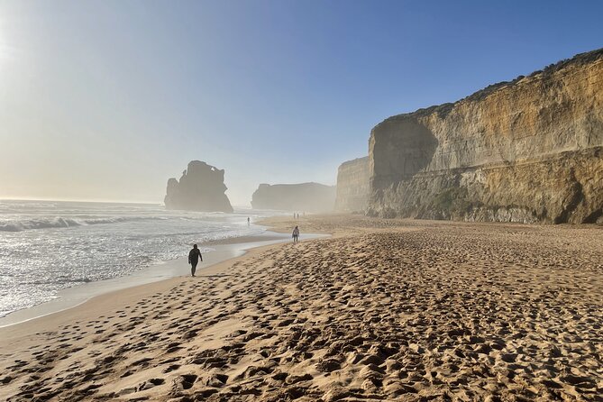 Great Ocean Road to 12 Apostles Plus Rainforest Melbourne Daytour - Pricing and Booking