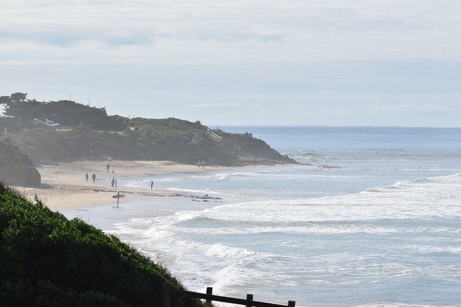 Great Ocean Road Tour Plus Koalas, Forest Walk And Morning Tea. - Guide Interactions and Services