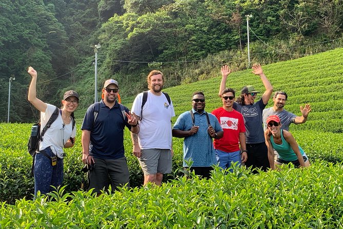 Guided Bike Tour to a Green Tea Farm in Shizuoka - Tea Tasting Experience