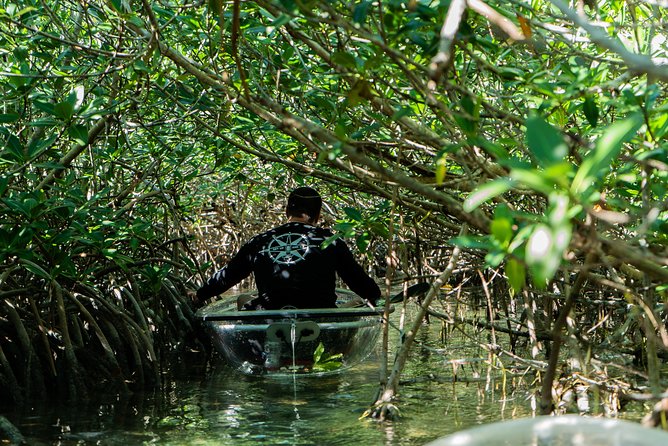Guided Clear Kayak Eco-Tour Near Key West - Equipment and Experience