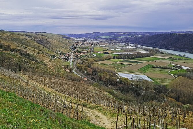 Guided Day Tour and Wine Tasting Northern Rhône Valley - Gourmet Lunch Inclusive