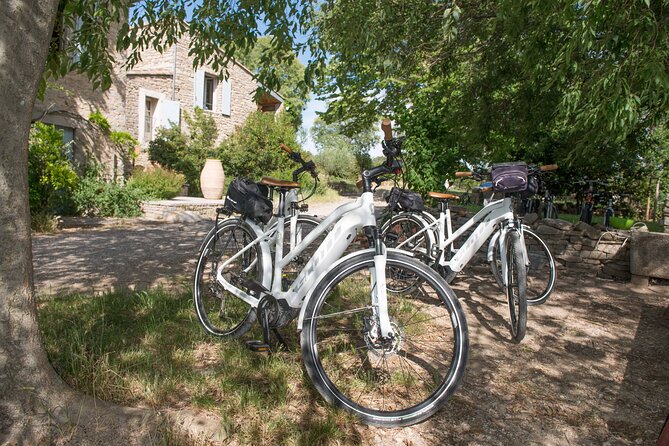 Guided Electric Bike Tours With Tasting in Pic Saint Loup - Traveler Photos