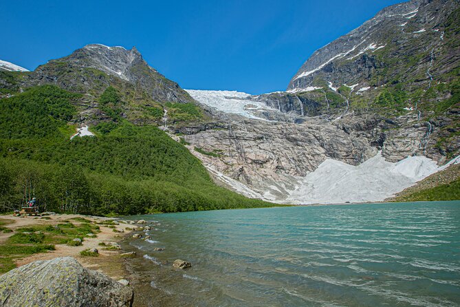 Guided Fjord & Glacier Tour - From BERGEN - Review Feedback