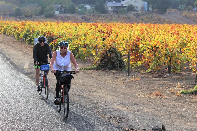 Guided Healdsburg Wine Country Bike and Wine Tasting Tour With Lunch - Pricing Details
