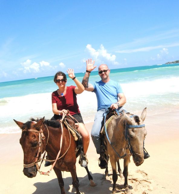 Guided Horseback Riding Punta Cana - Language and Communication Considerations