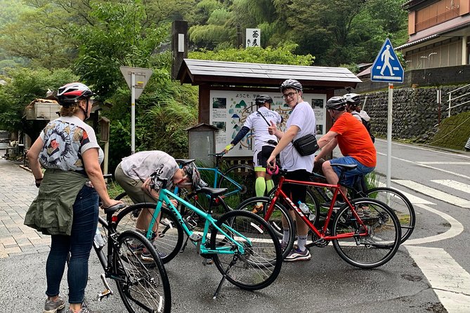 Guided Hybrid Bike Tour in Shizuoka City - Pricing Structure