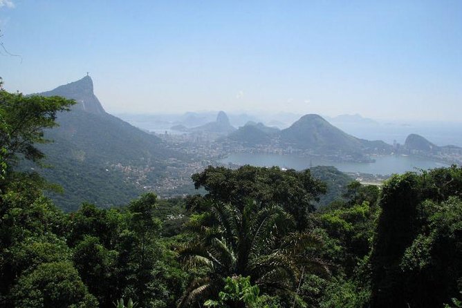 Guided Jeep Adventure Through Tijuca Rain Forest - Tips for an Enjoyable Tour