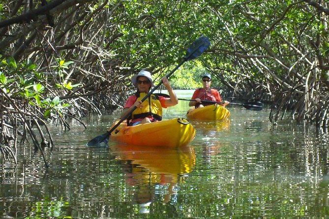 Guided Kayak Eco Tour - Bunche Beach - Overall Satisfaction and Future Plans