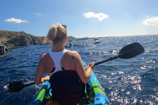 Guided Kayak Tour From Los Cristianos Beach Tenerife - Traveler Experience