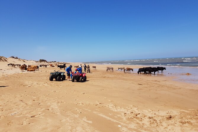 Guided Quad Ride in Essaouira (1 Hour). (Minimum 2 People) - Additional Information