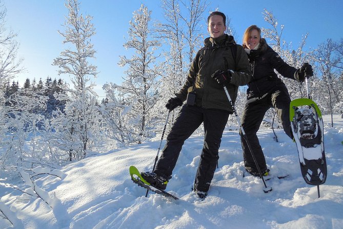 Guided Snowshoe Walk on Tromsoya Island in Tromso - Tour Flexibility and Pricing