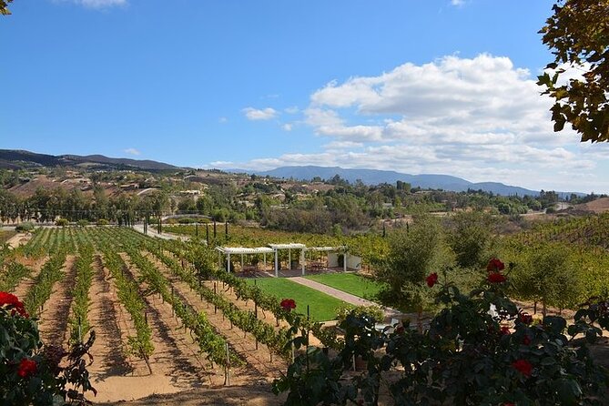Guided Temecula Wine Tour From San Diego - Tour Guides and Customer Recommendations
