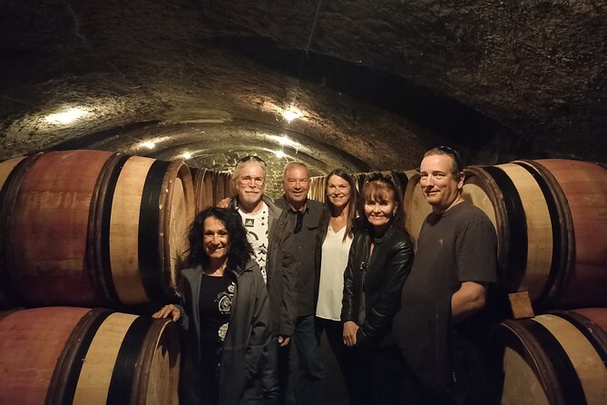 Guided Tour and Wine Tasting Northern Rhône Valley - Vineyard Visits