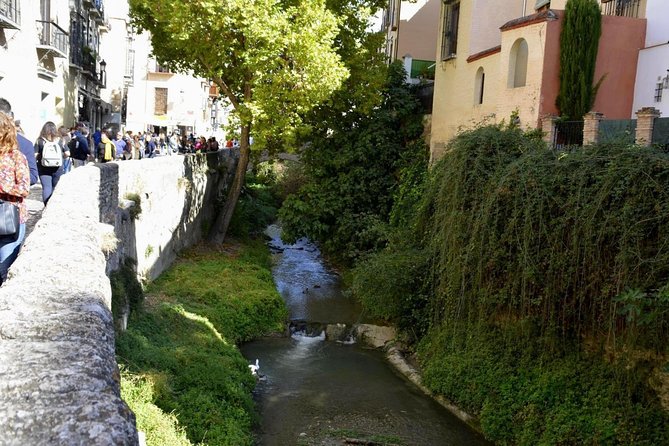 Guided Tour of Albaicín, Sacromonte and Viewpoints - Spectacular Viewpoints Along the Route