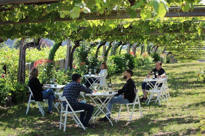 Guided Tour of Bodegas Granbazán - Souvenir Shop and Concluding Remarks