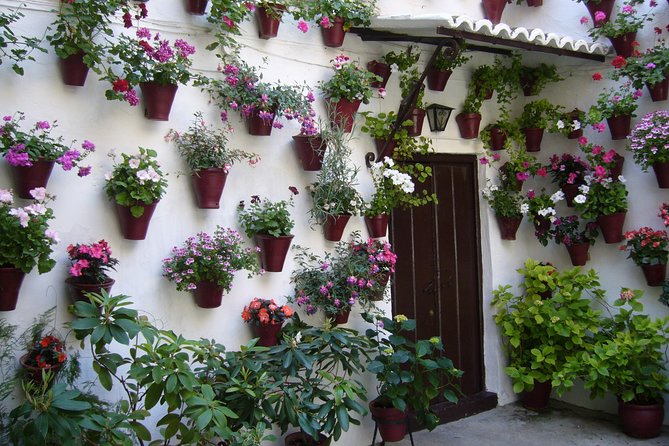 Guided Tour to the Popular Patios of Cordoba - Culinary Experience