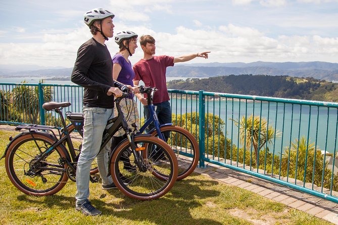 Guided Wellington Sightseeing Tour by Electric Bike - Attractions Covered