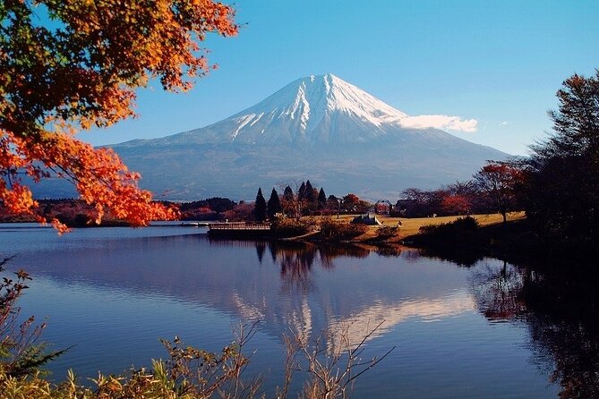 Hakone 8 Hour Private Tour With Government-Licensed Guide - Tour Highlights and Experiences