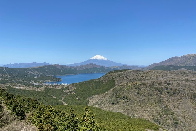 Hakone Old Tokaido Road and Volcano Half-Day Hiking Tour - Pickup Information