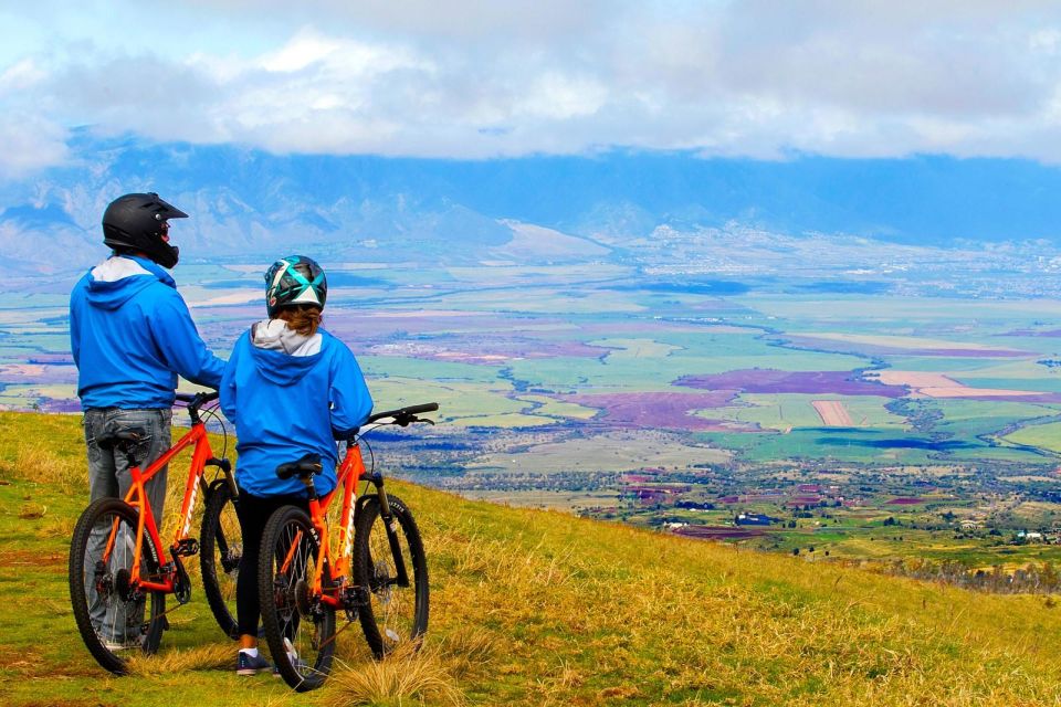 Haleakala Guided Bike Tour With Bike Maui (Daytime) - Guide Information