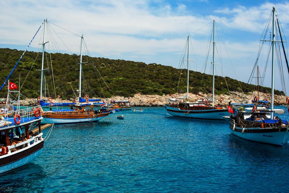 Half Day Bodrum (Halicarnasos) Tour by Car - Itinerary Details
