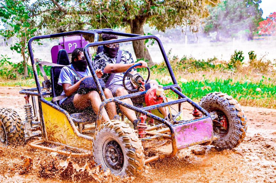 Half-Day Buggy Tour to Water Cave and Macao Beach - Highlights of the Tour