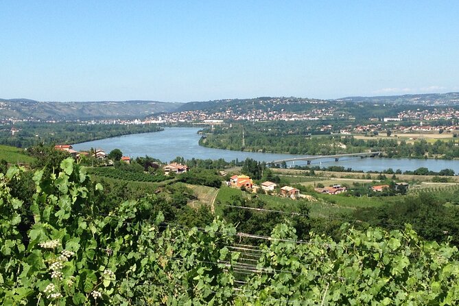 Half-Day Cotes Du Rhone Private Wine Tour From Lyon - Customer Reviews and Ratings