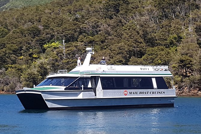 Half-Day Cruise in Marlborough Sounds From Picton - Additional Information and Pricing