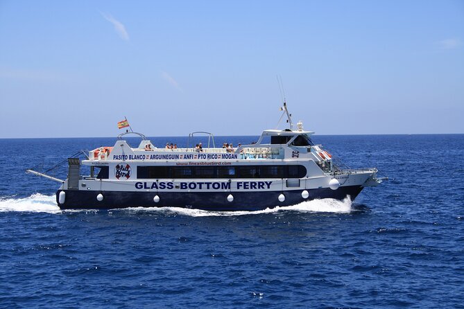 Half-Day Cruise Tour-Dolphin and Whale Watching - Cancellation Policies