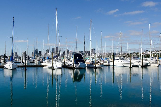 Half-day Discover Auckland City Sightseeing Tour - Tour Highlights