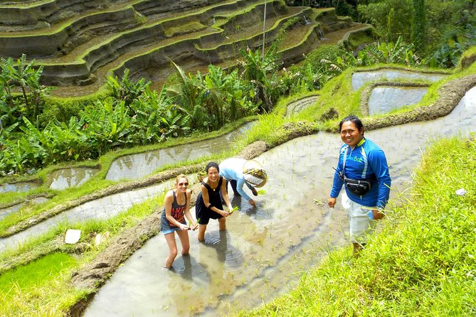 Half-Day Electric Cycling Tour of Ubud - Tour Experience and Group Activities