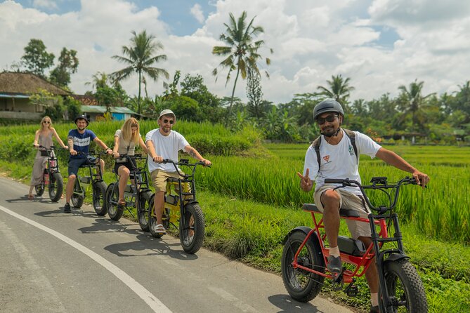 Half-Day Electric Fat Bike Tour of Ubud - Additional Details