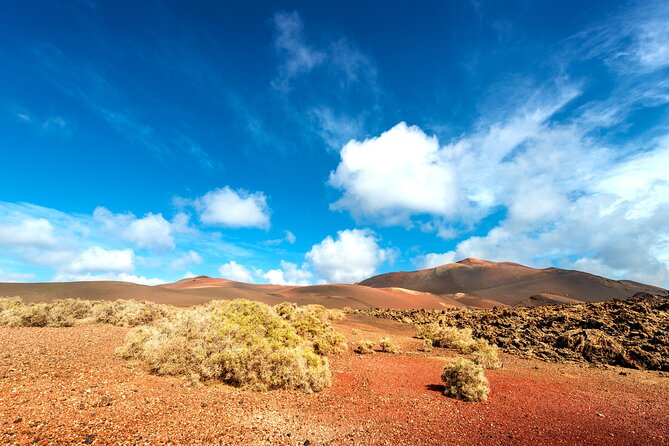 Half Day Excursion to the Timanfaya National Park and the Volcanoes  - Lanzarote - Traveler Recommendations and Tips