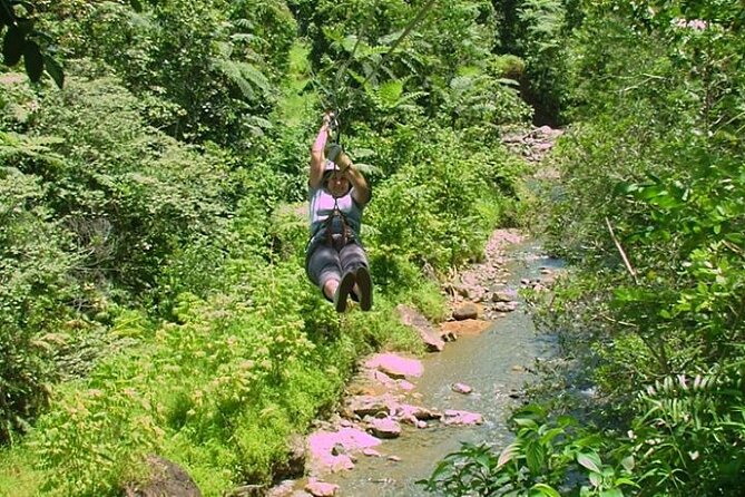 Half Day Fiji Zip-Line Tour at Pacific Harbour - Common questions