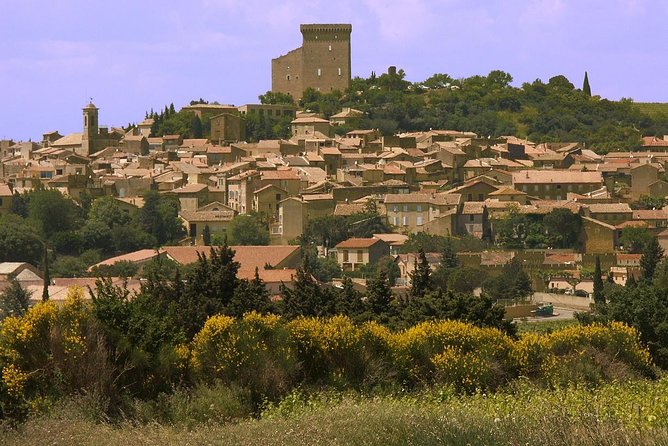 Half Day Great Vineyard Tour From Avignon - Tour Highlights