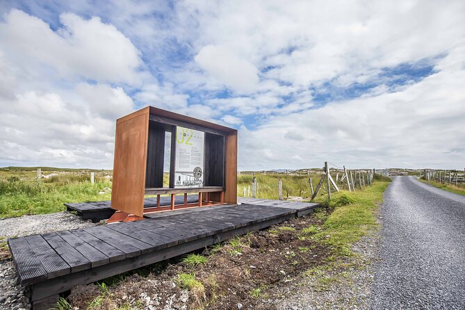 Half-Day Guided Derrygimlagh Bog Looped Walk in Connemara - Reviews and Ratings From Participants