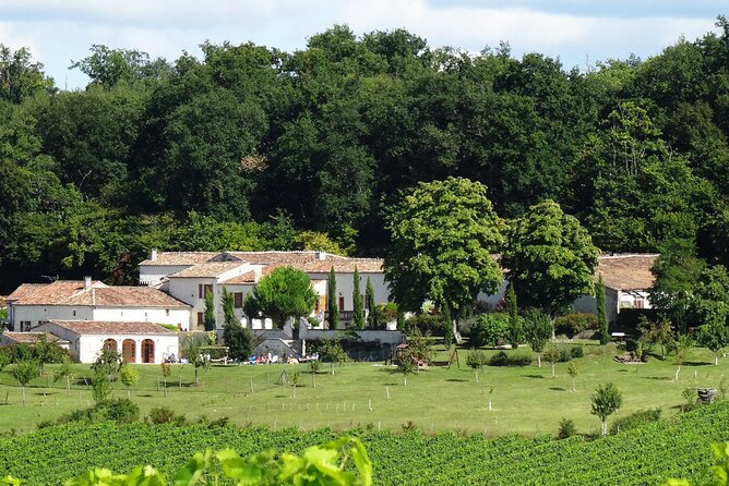 Half-day Guided E-Bike Ride to Discover The Cognac Vineyard - Additional Resources
