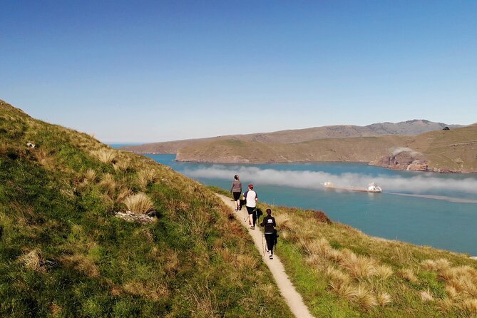 Half Day Guided Walking Tour on Banks Peninsula - Travel Requirements