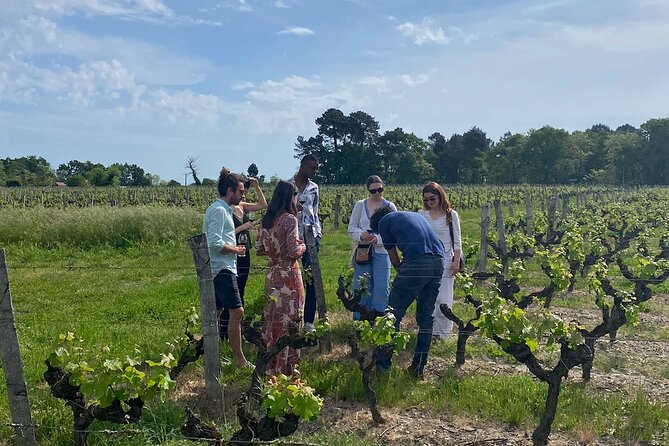 Half-Day Guided Wine Tasting Tour in Bordeaux Vineyards - Vineyard Visits