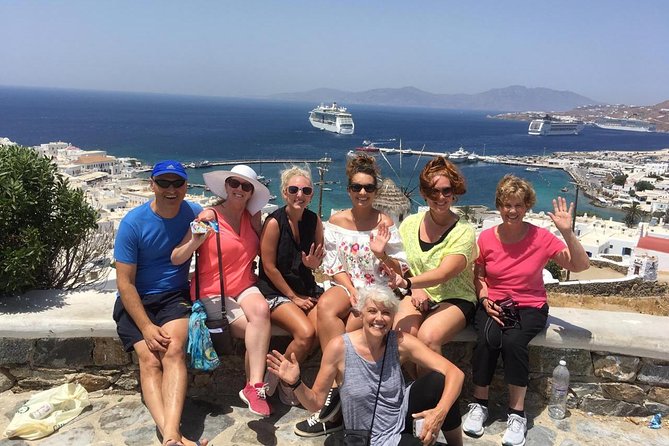 Half-Day Highlights of Mykonos Tour - Customer Relations