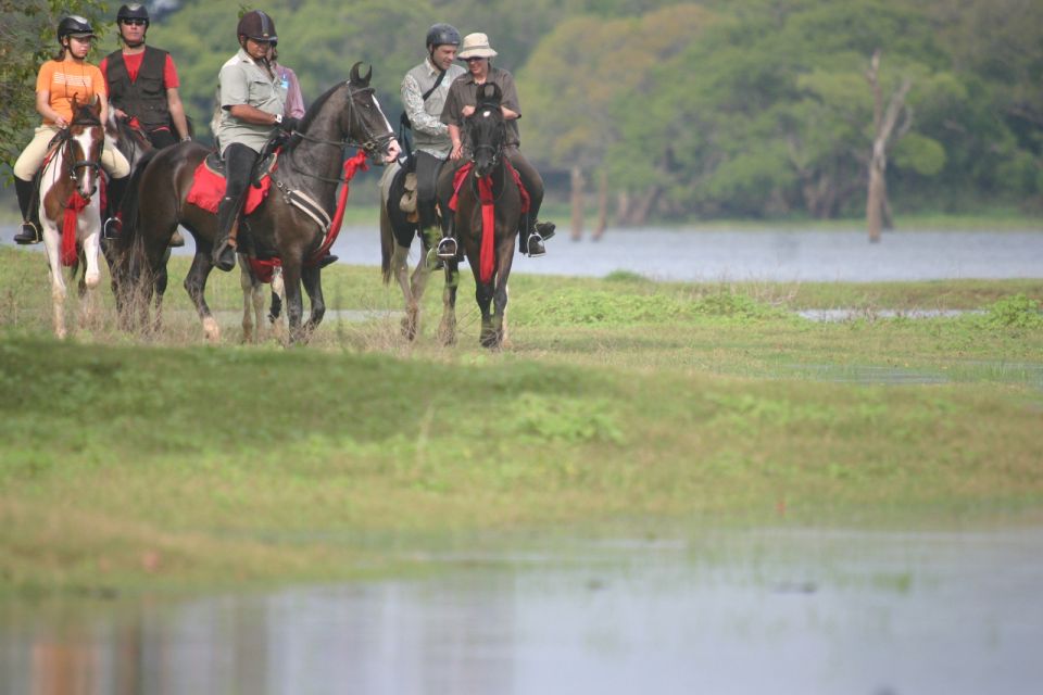 Half Day Horse Riding in Dambulla - Booking Information