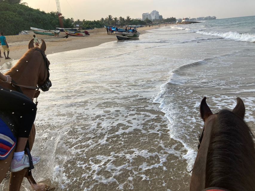 Half-Day Horse Riding in Kalpitiya - Additional Features