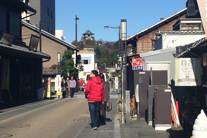 Half-Day Inuyama Castle and Town Tour With Guide - Guide Information and Recognition