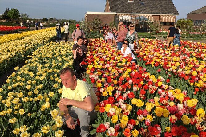 Half Day Keukenhof Tulip Paradise Trip From Amsterdam - Visitor Tips